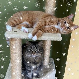 Meet your Posher, Teri